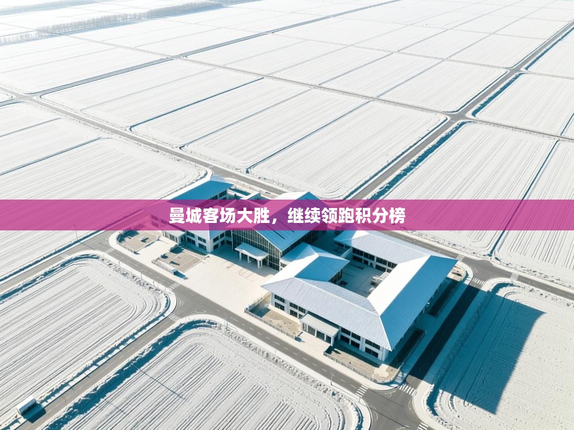 曼城客场大胜，继续领跑积分榜  第1张