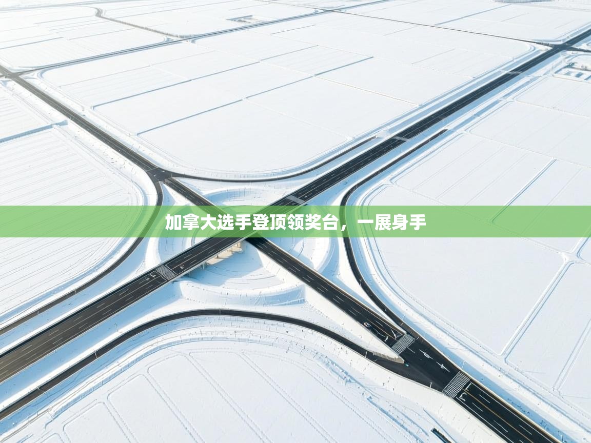 加拿大选手登顶领奖台，一展身手  第1张