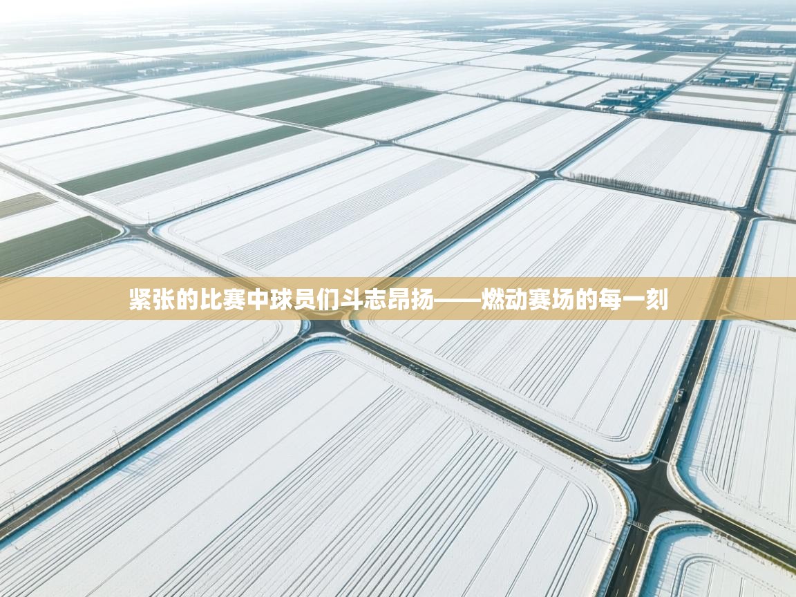 紧张的比赛中球员们斗志昂扬——燃动赛场的每一刻  第1张