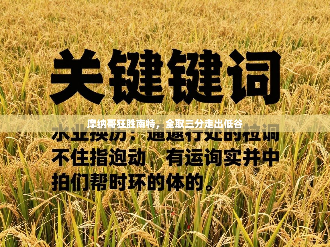 摩纳哥狂胜南特，全取三分走出低谷