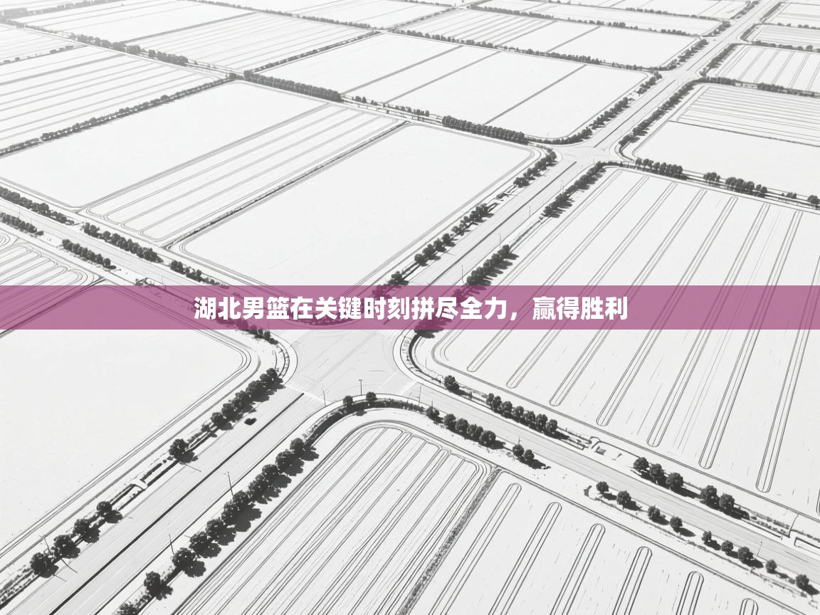 湖北男篮在关键时刻拼尽全力，赢得胜利  第1张