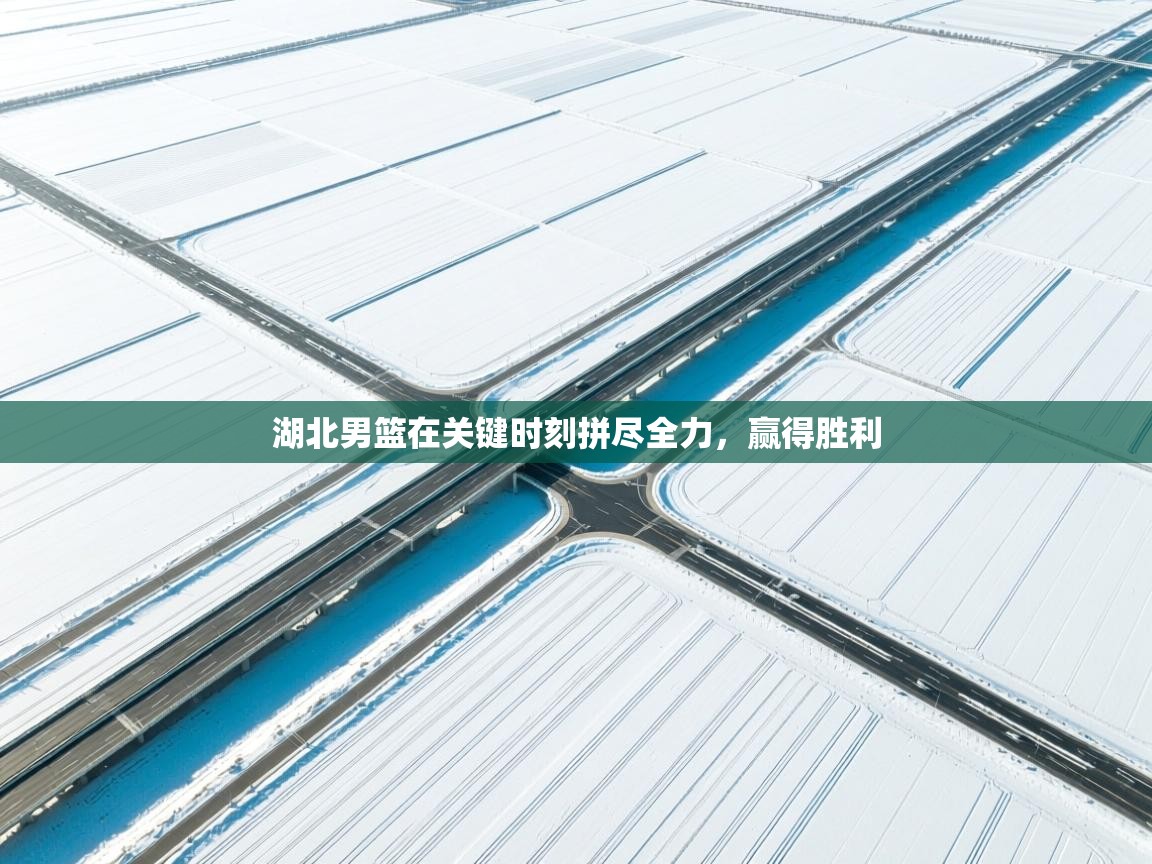 湖北男篮在关键时刻拼尽全力，赢得胜利  第2张