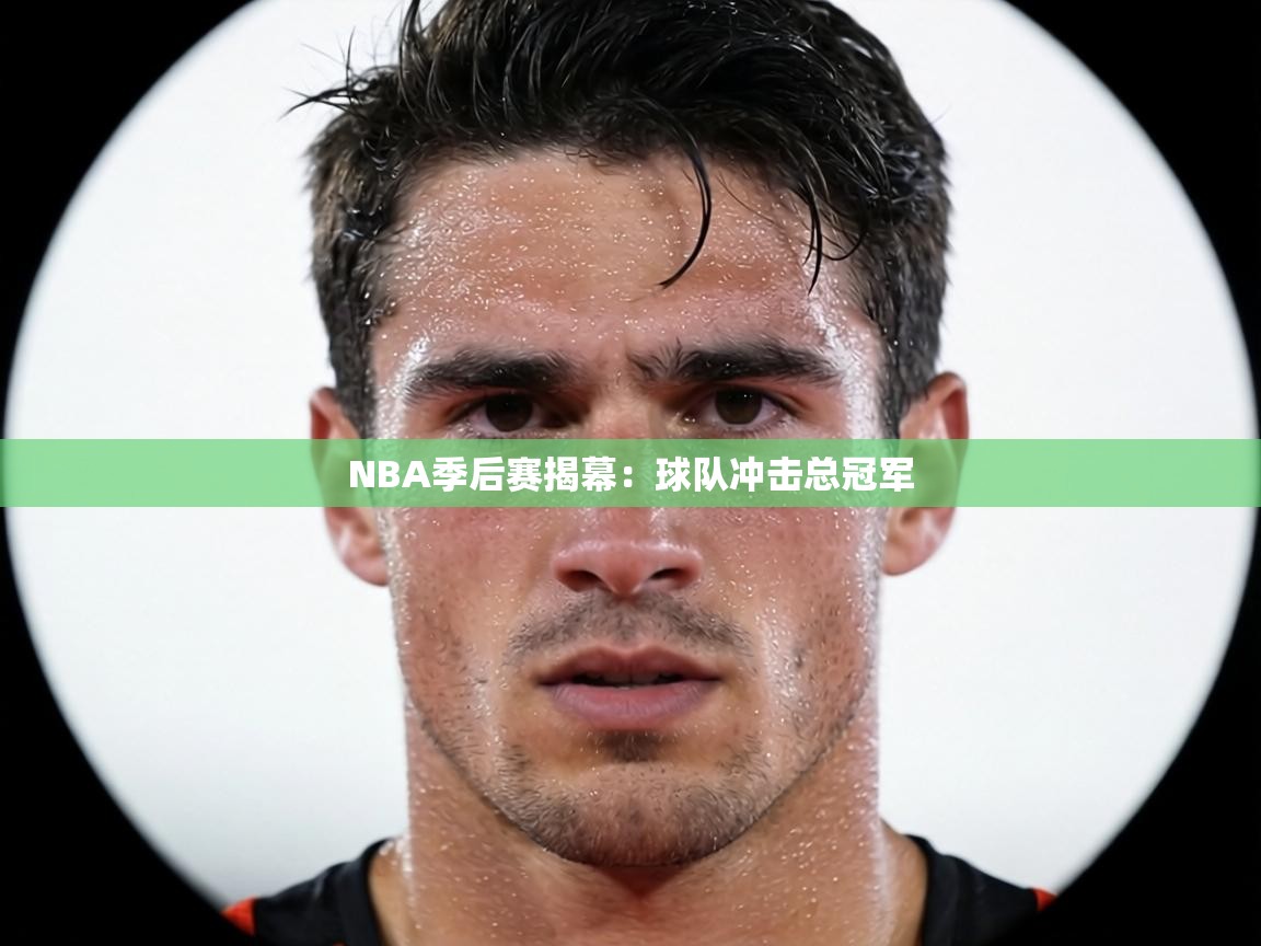 NBA季后赛揭幕：球队冲击总冠军  第1张